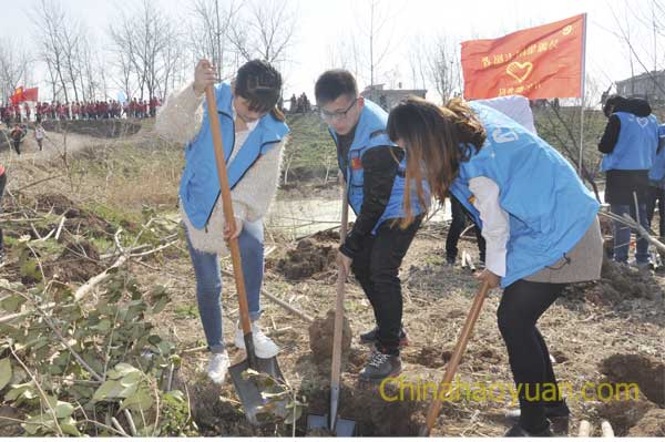 恒行6-品质新履历,专选恒行6