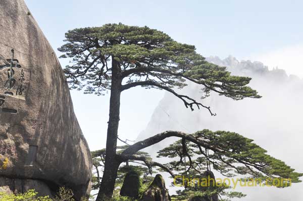 恒行6-品质新履历,专选恒行6