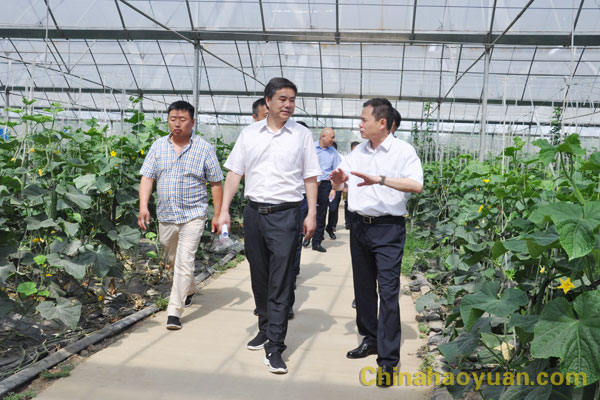 恒行6-品质新履历,专选恒行6