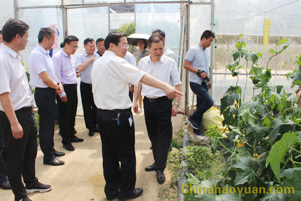 恒行6-品质新履历,专选恒行6