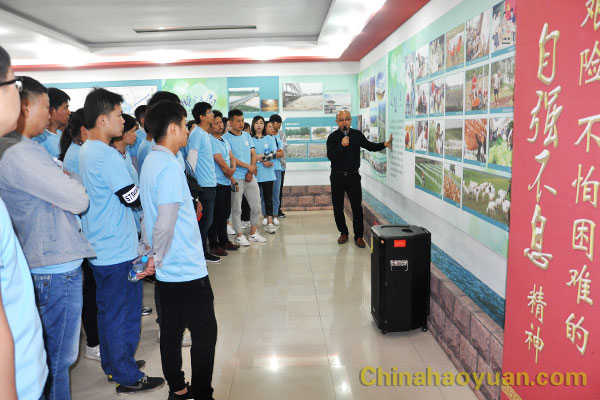 恒行6-品质新履历,专选恒行6