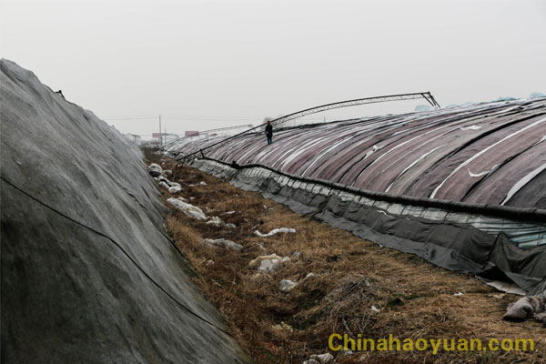 恒行6-品质新履历,专选恒行6