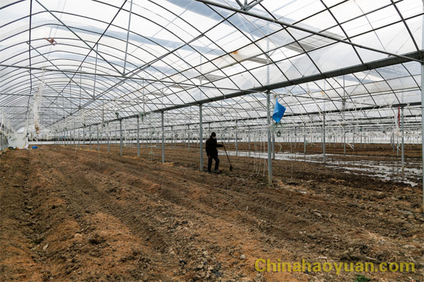 恒行6-品质新履历,专选恒行6