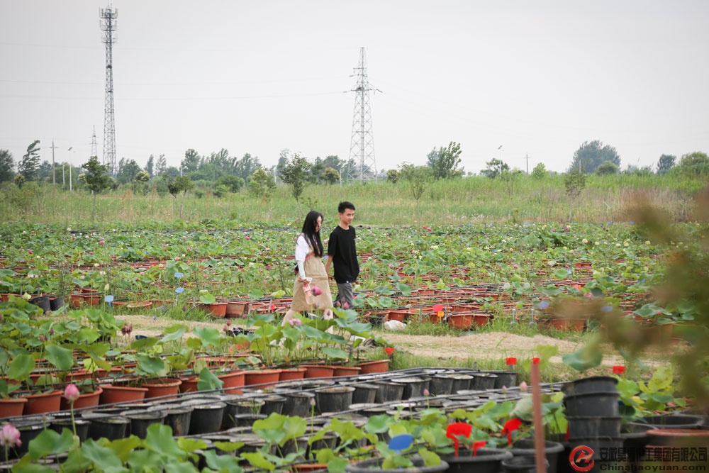 恒行6-品质新履历,专选恒行6