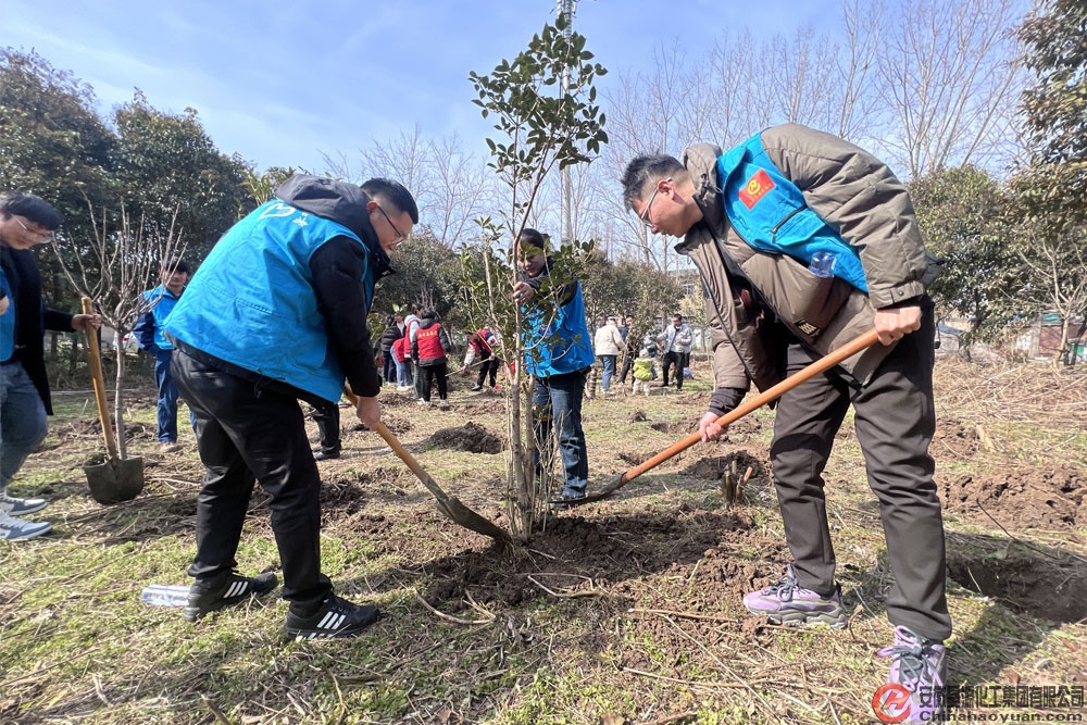 恒行6-品质新履历,专选恒行6