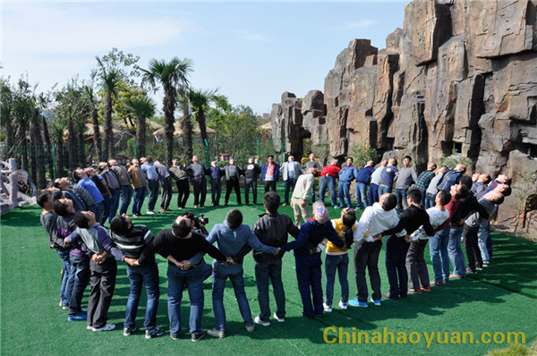 恒行6-品质新履历,专选恒行6