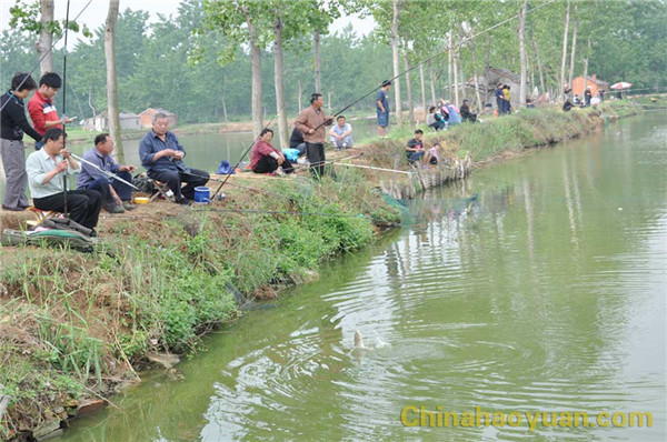 恒行6-品质新履历,专选恒行6