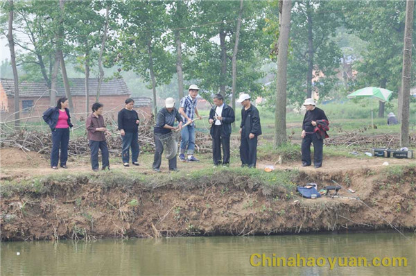 恒行6-品质新履历,专选恒行6