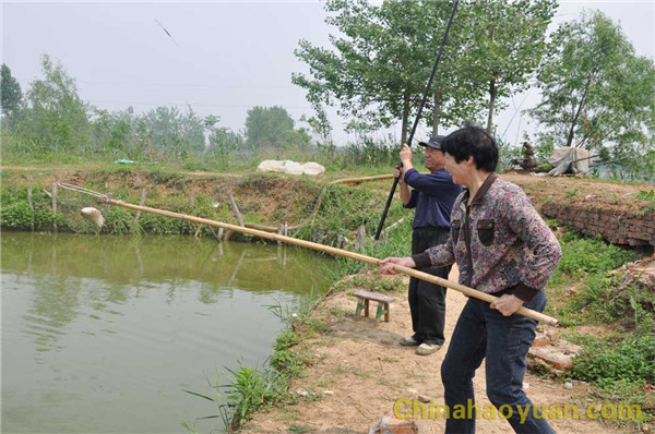 恒行6-品质新履历,专选恒行6