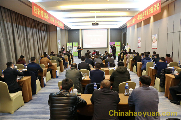 恒行6-品质新履历,专选恒行6