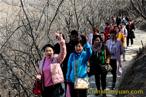 恒行6-品质新履历,专选恒行6