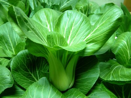 恒行6-品质新履历,专选恒行6