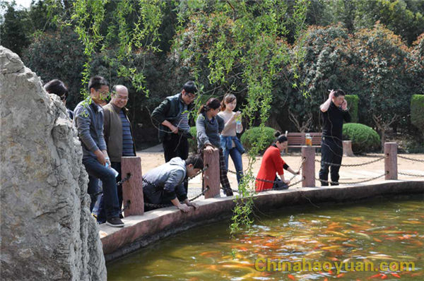 恒行6-品质新履历,专选恒行6