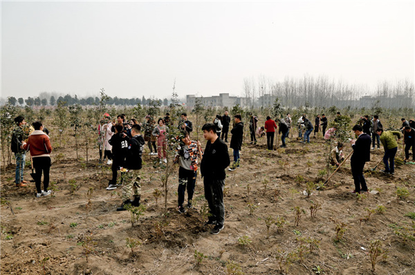 恒行6-品质新履历,专选恒行6