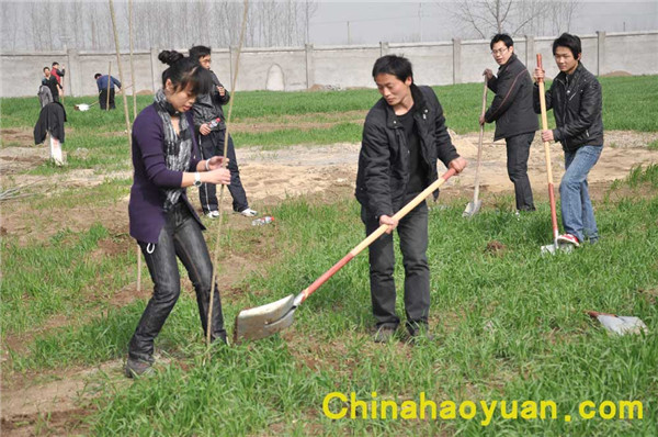 恒行6-品质新履历,专选恒行6