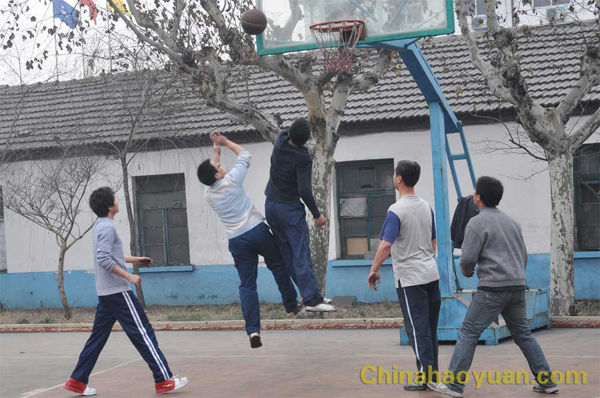 恒行6-品质新履历,专选恒行6