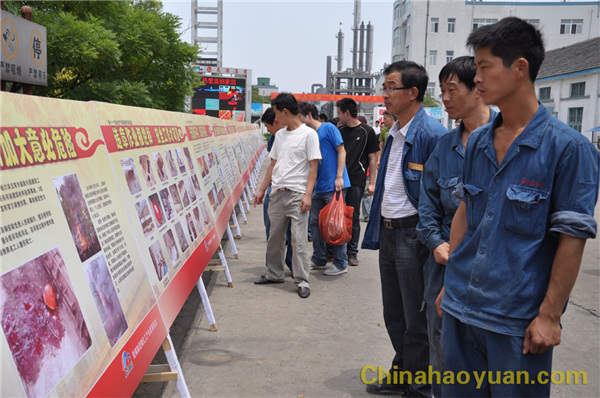 恒行6-品质新履历,专选恒行6