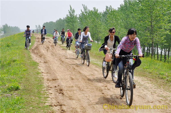 恒行6-品质新履历,专选恒行6