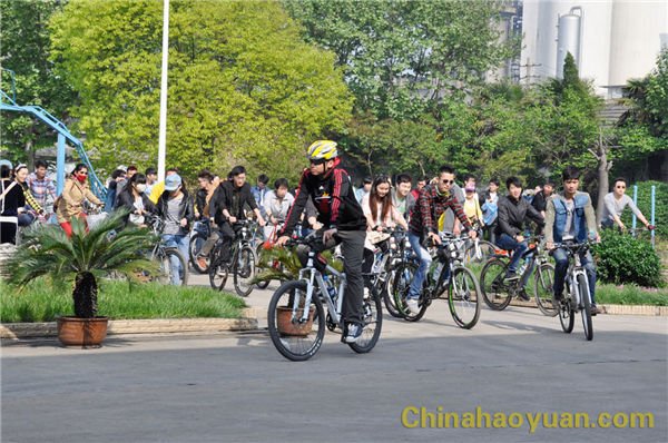 恒行6-品质新履历,专选恒行6