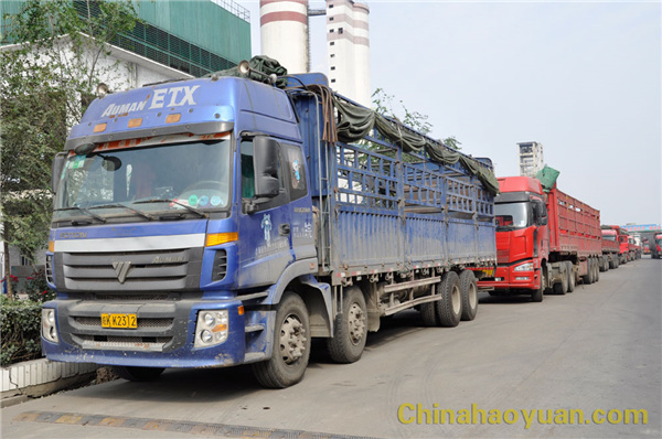 恒行6-品质新履历,专选恒行6