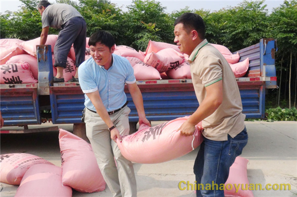 恒行6-品质新履历,专选恒行6