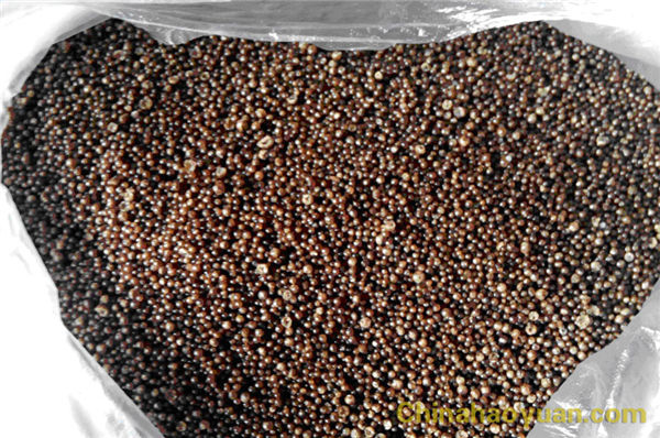 恒行6-品质新履历,专选恒行6