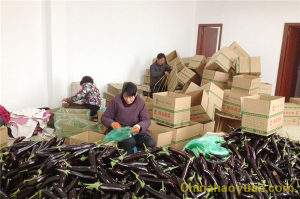 恒行6-品质新履历,专选恒行6