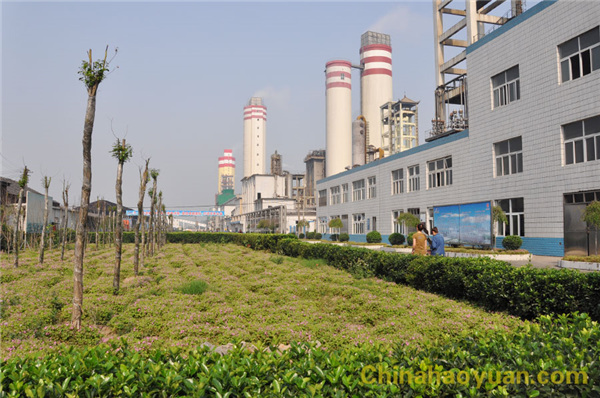 恒行6-品质新履历,专选恒行6