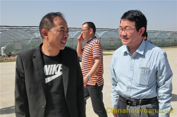 恒行6-品质新履历,专选恒行6