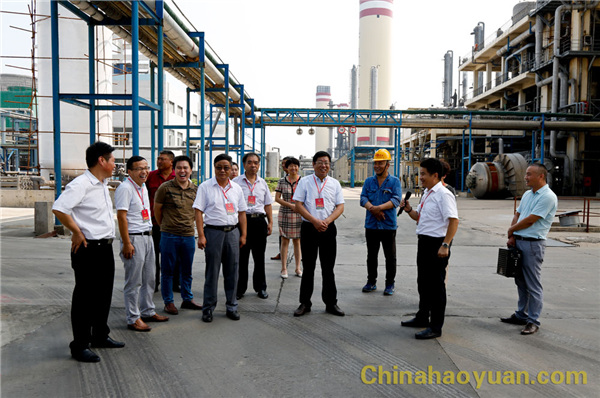 恒行6-品质新履历,专选恒行6