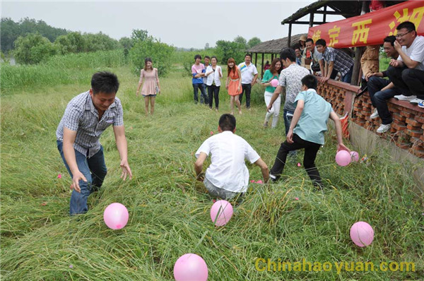 恒行6-品质新履历,专选恒行6